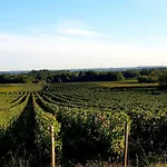 Bienvenue A Bordeaux!