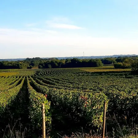 Bienvenue A Bordeaux!