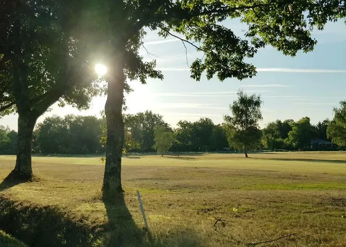 Bienvenue A Bordeaux! *