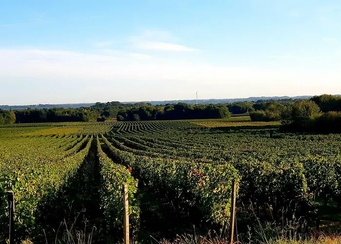 Bienvenue A Bordeaux!